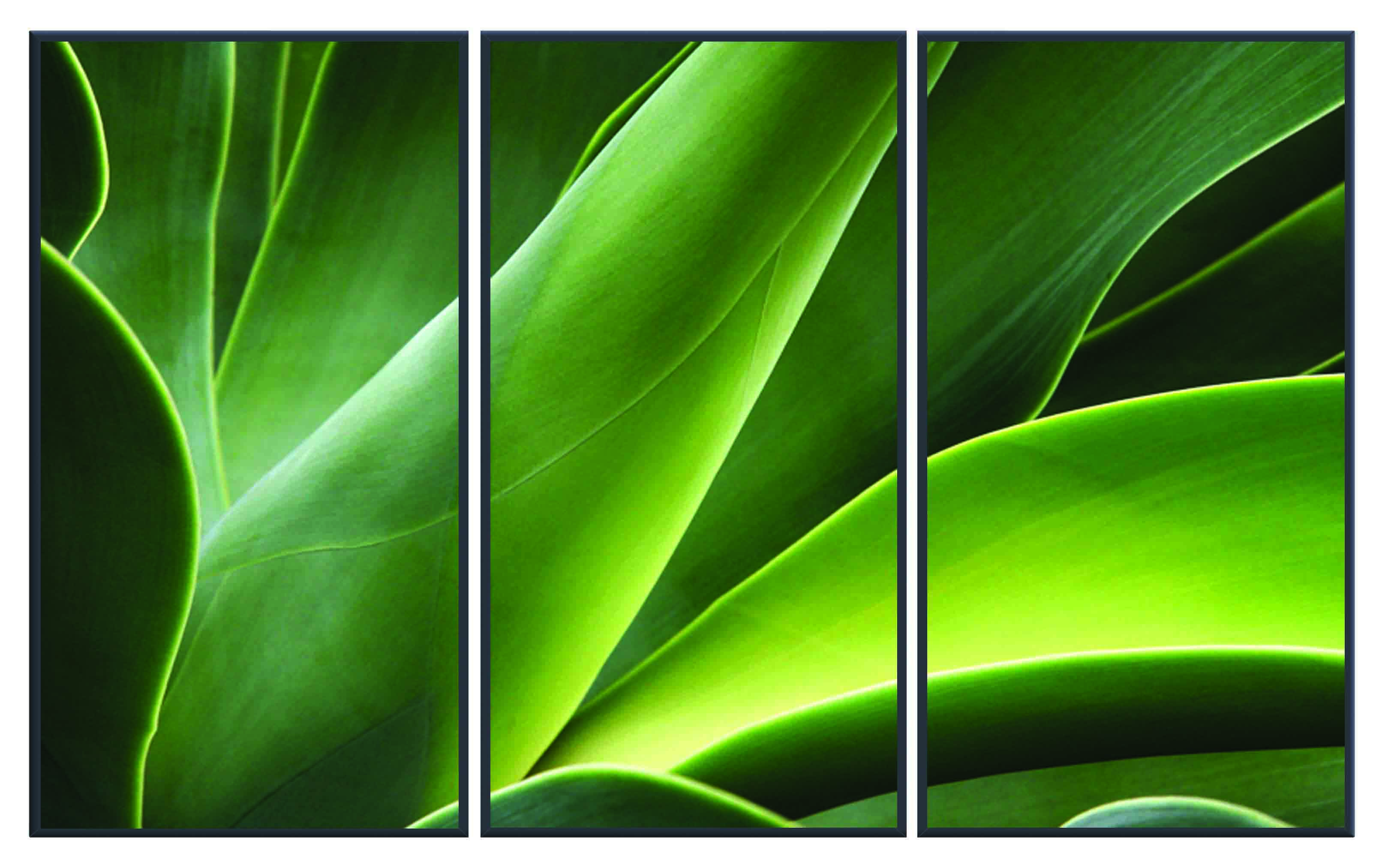 ASG401 Wall décor art printed on glass botanical set of 3